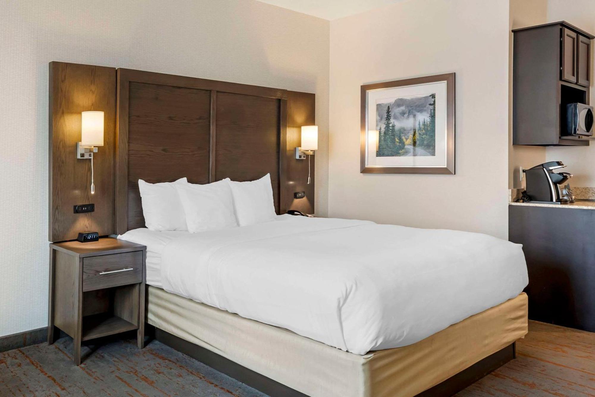 Comfort Inn & Suites Brighton Denver Ne Medical Center Екстериор снимка